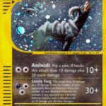 Houndoom (H11) H11/144 - Skyridge Holofoil